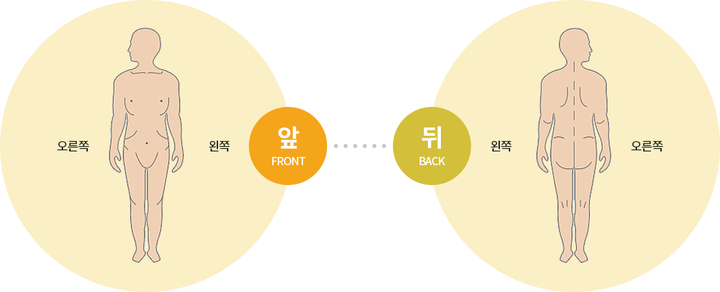 아픈 부위 체크를 위한 몸의 전,후 이미지